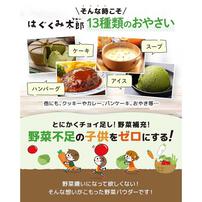 協和食研 はぐくみ太郎 13種類のおやさいパウダー ミニサイズ 【5ヶ月～】