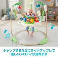 Fisher Price（フィッシャープライス） レインフォレスト・ジャンパルー 【室内遊具 ジャンプ遊び メロディ＆ライトアップ 高さ3段階調節 3ヶ月～1歳半頃対応】