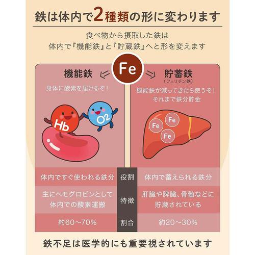 はぐくみ太郎 鉄分きな粉 大豆由来のフェリチン鉄 ミニサイズ  【7ヶ月～】